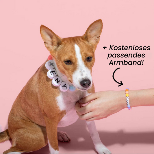 Ruliva™ Freundschaftshalsband